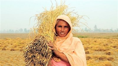 في يومها العالمي.. ما هي أبرز النصائح لضمان صحة المرأة الريفية؟