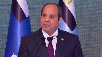 السيسي: اللي أثبتته كل الأحداث إن كل ما الشعب المصري يكون متماسك فأي حاجة تانية هتتقضي