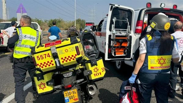 شرطة الاحتلال 