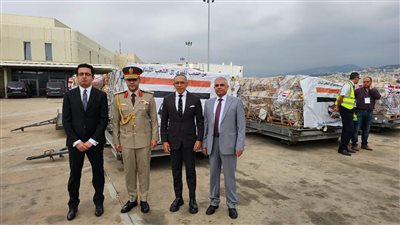 الخارجية: إعادة 304 مواطنين من لبنان.. ووصول شحنة مساعدات مصرية لـ بيروت 