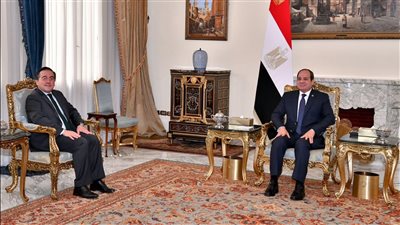 مصر وإسبانيا تشددان على ضرورة التوصل إلى تهدئة شاملة للأوضاع في غزة ولبنان