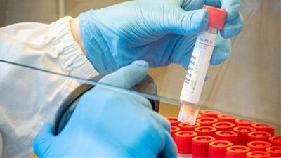 مخاوف جديدة.. فيروس كورونا الخفاشي الجديد يثير القلق لدى العلماء