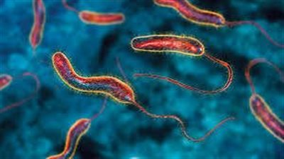 ارتفاع عدد الوفيات بالكوليرا في السودان.. والسلطات تحذر من تفشي الوباء