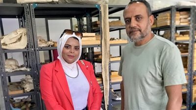 عمرها 41 مليون سنة| مركز الحفريات الفقارية بجامعة المنصورة يدخل جينيس بحفرية الحوت توتسيتس.. ورئيس القسم: حلمنا لم ينته