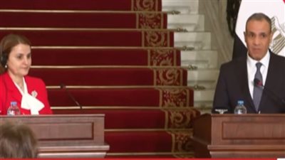  وزير الخارجية: مصر الشريك التجاري الأول لرومانيا في إفريقيا