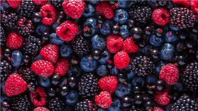 4 وجبات خفيفة مثالية للسيطرة على الجوع