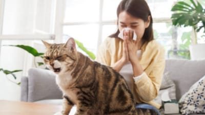 نصائح لمرضى الربو عند تربية الحيوانات الأليفة