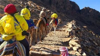 244 سائحا يزورون المقدسات الدينية والتاريخية في سانت كاترين