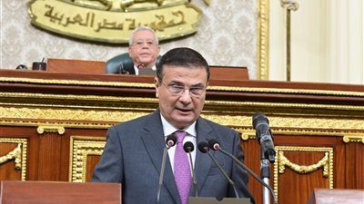 أمام البرلمان.. وزير الزراعة يكشف خطة الوزارة للثلاث سنوات المقبلة