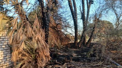 بسبب مخلفات الزراعة.. السيطرة على حريق نشب بإحدى الأراضي الزراعية في المنيا