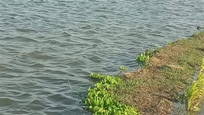 خلال فسحة بنادٍ شهير.. مصرع صغير غرقًا في النيل إثر سقوطه من يد والدته بقنا