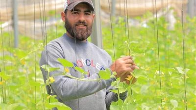 استهدف أكثر من مرة.. استشهاد يوسف أبو ربيع صاحب مبادرة هنزرعها لمواجهة المجاعة بشمال غزة