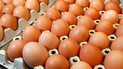 الـ12 بيضة بـ1.45 دولار.. اتحاد الدواجن: مصر من أرخص الدول في أسعار البيض