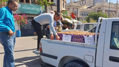 الكرتونة بـ150 جنيها.. الزراعة تواصل طرح بيض المائدة بأسعار مخفضة للمواطنين