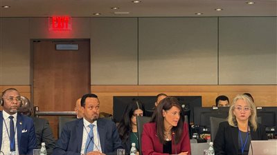 مصر ترحب بتقوية النظام النقدي لزيادة صلابة الاقتصاد العالمي.. وضرورة تنفيذ مراجعة شاملة لإجراءات صندوق النقد وسياساته