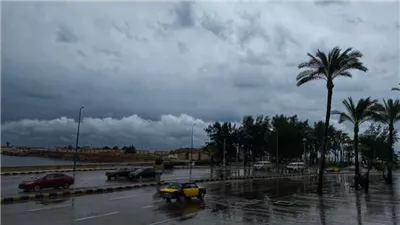 10 ساعات فقط.. البحوث الفلكية: غدًا سيكون أقصر نهار في السنة