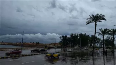 الزراعة: انكسار مفاجئ لدرجات الحرارة بدون تدرج بعد صيف شديد الحرارة 