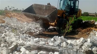 إزالة 128 حالة تعد على أملاك الدولة ضمن حملات الموجة الـ24 ببني سويف