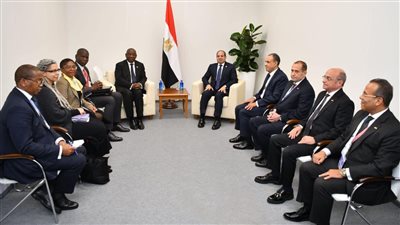 الرئيس السيسي ونظيره الجنوب إفريقي يؤكدان ضرورة وقف إطلاق النار بغزة ولبنان