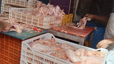 تموين الإسكندرية: ضبط دواجن ومصنعاتها دون بيانات ومنتهية الصلاحية