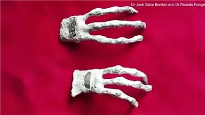 خبراء يكتشفون مفاجأة غير متوقعة بخصوص مومياوات بيرو