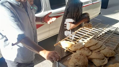 خلال حملة مكبرة.. ضبط 193 مخالفة تموينية في قنا