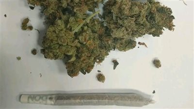 ضبط أجنبي بمطار الغردقة الدولي حاول تهريب كمية من الماريجوانا