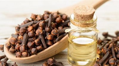 يعمل على تقوية المناعة.. دراسة تكشف فوائد القرنفل للجسم 