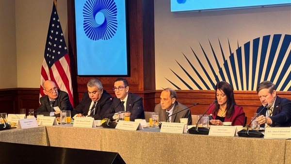 وزير الاستثمار