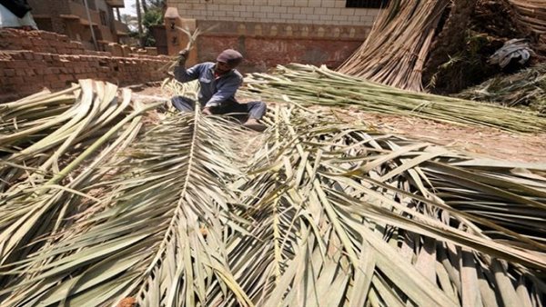صناعة الجريد