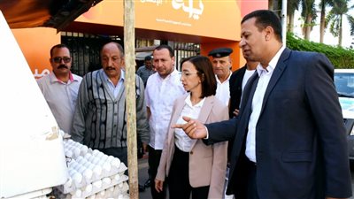 الكرتونة بـ150 جنيها.. محافظ البحيرة تتفقد سيارات متنقلة لبيع بيض المائدة بأسعار مخفضة