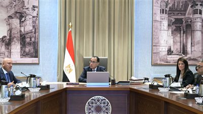 الحكومة: وضع خطة تنفيذية خلال الفترة المقبلة لتعديل حدود الكربون