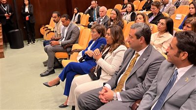 وزيرة التنمية المحلية: نعمل على تطوير الهوية البصرية للمحافظات دون المساس بالأماكن الأثرية