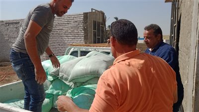 ضبط 120 شيكارة دقيق بلدي مدعم قبل بيعها في السوق السوداء ببني سويف