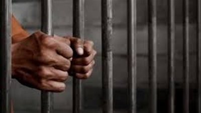 تسبب في استئصال طحاله.. السجن 5 أعوام لشاب ضرب صديقه بقالب طوب بقنا