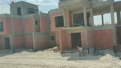 رئيس الرقابة المالية: مصر لا تمتلك سوى صندوقين للعقار فقط رغم ثروتها العقارية الضخمة