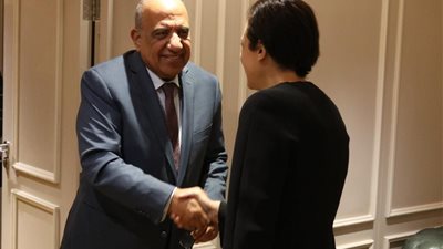 وزير الكهرباء وسفيرة قبرص يتابعان مستجدات تنفيذ مشروع الربط الكهربائي بين البلدين