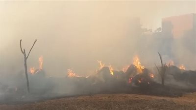 النار وصلت السما.. نشوب حريق هائل بعدة أحواش في الأقصر ونفوق عدد كبير من المواشي| صور