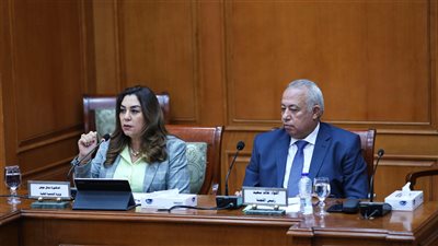 وزيرة التنمية المحلية أمام الشيوخ: استمرار تقديم التسهيلات للمواطنين في ملف التصالح خلال نوفمبر المقبل