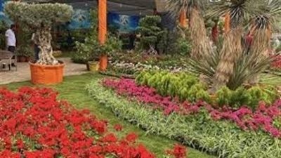 مجلس الوزراء ينفي قطع النخيل والأشجار النادرة بحديقة الأورمان التاريخية 