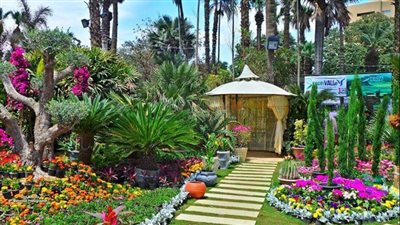 الزراعة: الدولة أعدت خطة للحفاظ على 2000 نوع نبات بحديقة الأورمان