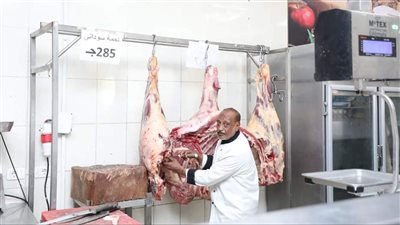 تموين البحر الأحمر: طرح لحوم سودانية طازجة بسعر 285 جنيها للكيلو