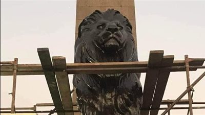 بعد الانتهاء من أعمال التنظيف.. ننشر الصور الأولى لأسود قصر النيل