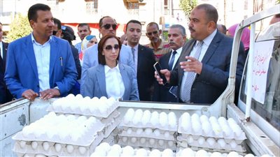 بيض ولحوم.. محافظ البحيرة تتفقد قافلة غذائية تضم 13 سيارة متنقلة لبيع السلع الغذائية بأسعار مخفضة