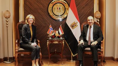 وزير قطاع الأعمال: خطة شاملة لإمداد مجمع الألمونيوم في قنا بالطاقة الشمسية 