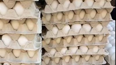 اتحاد منتجي الدواجن: أسعار البيض تراجعت بنسبة تتجاوز 33%.. ونتوقع المزيد من الانخفاض