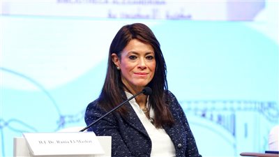 المشاط: التنمية البشرية تستحوذ على 42% من الاستثمارات الحكومية