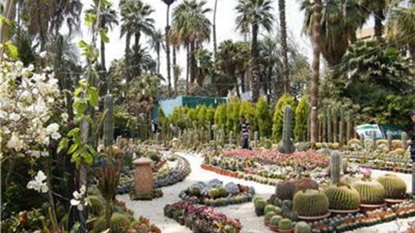  حديقة الأورمان