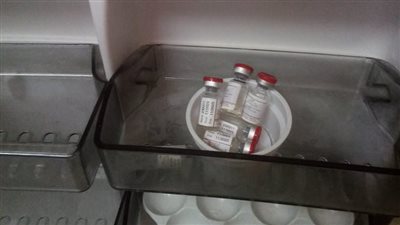 بعد شكوى نقص مصل لدغات العقارب.. محافظ أسوان يوجه لجنة لمتابعة الوضع الصحي بقرية أم سلمة