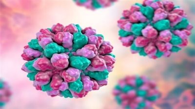 إصابة 28 سائحا بعدوى النورفيروس في فندق بإنجلترا 